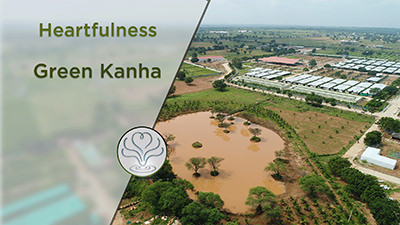 Kanha Shantivanam