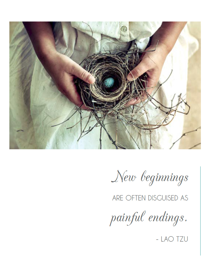 new-beginnings new-beginnings