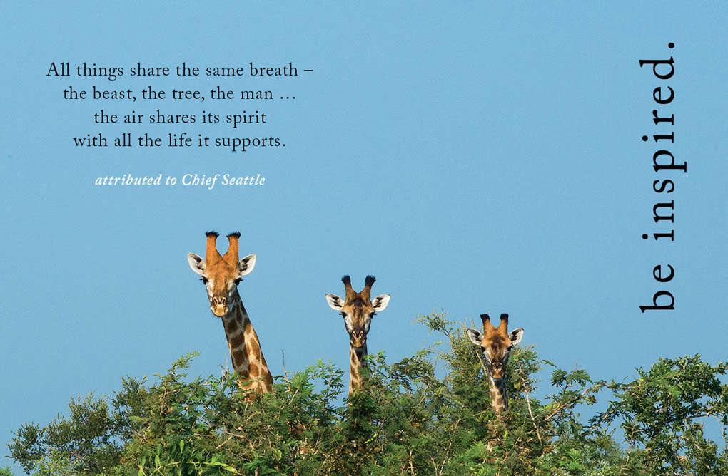 All share the same breath All share the same breath