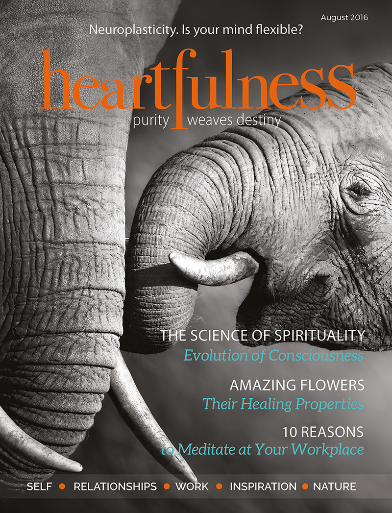 Heartfulness eMagazine - August 2016 Heartfulness eMagazine - August 2016