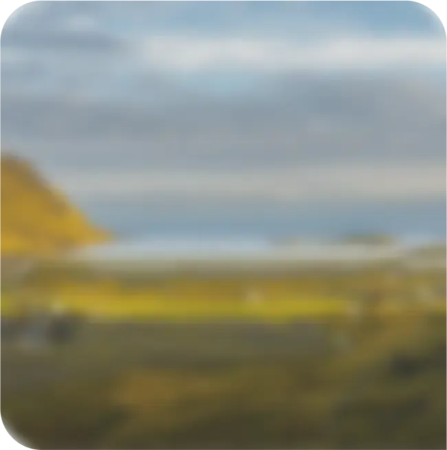 section-image