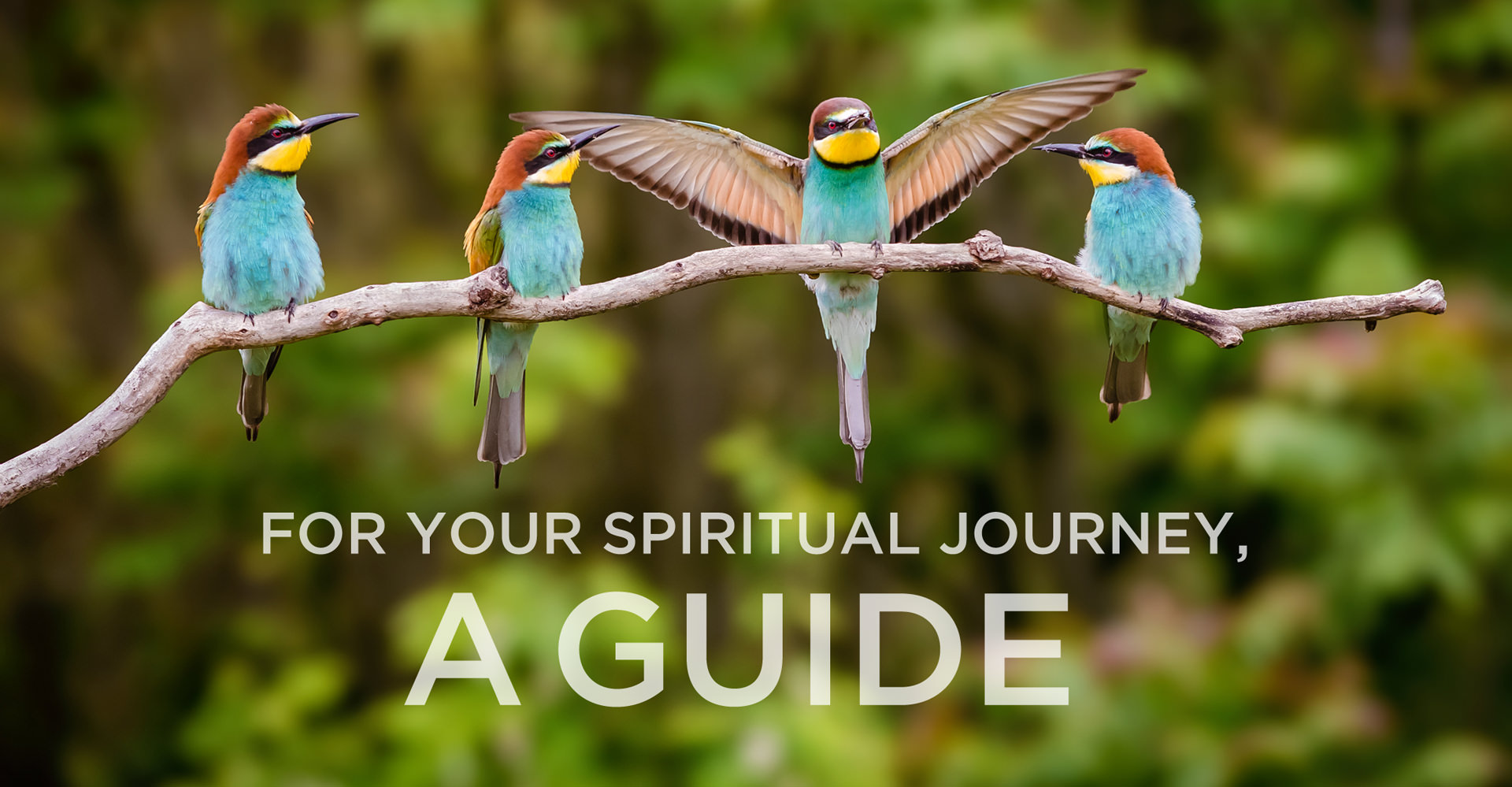 spiritual journey