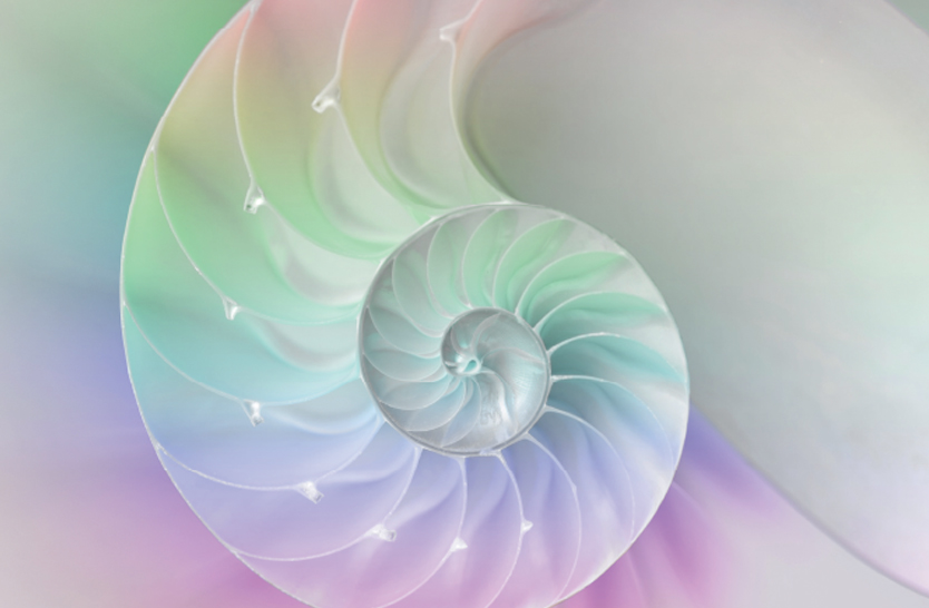Points of Stillness Points of Stillness
